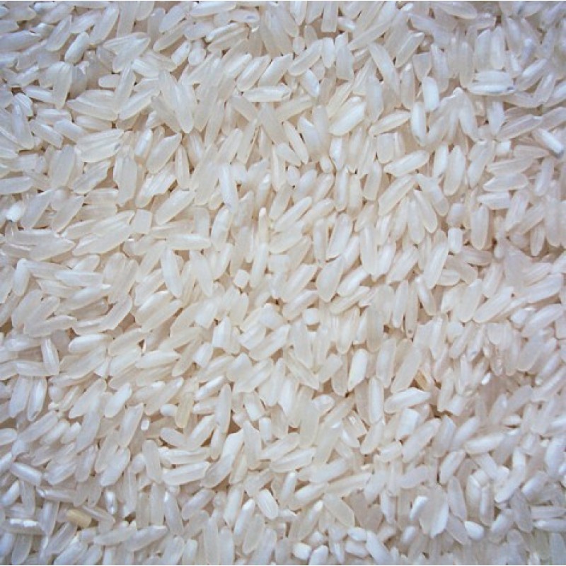 504 Rice