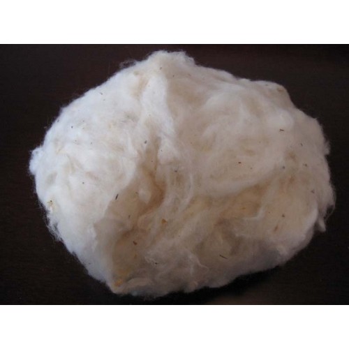 Raw Cotton