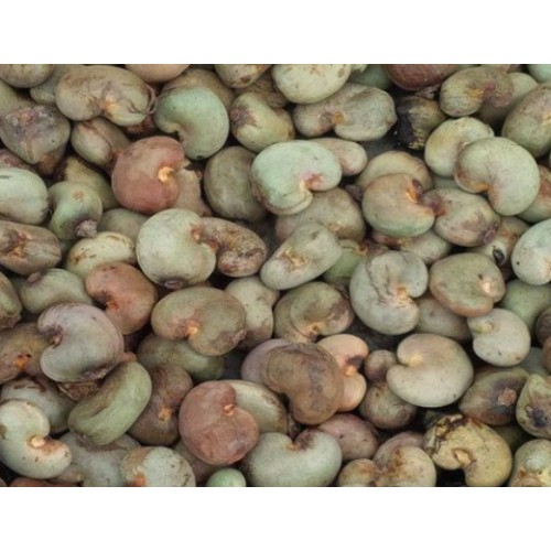 Raw Cashew Nut